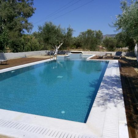 Kalpaki  Villa Penelope מראה חיצוני תמונה
